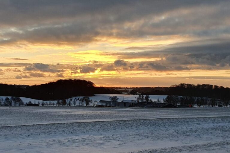 Hedensted Golf Klub - Image 5